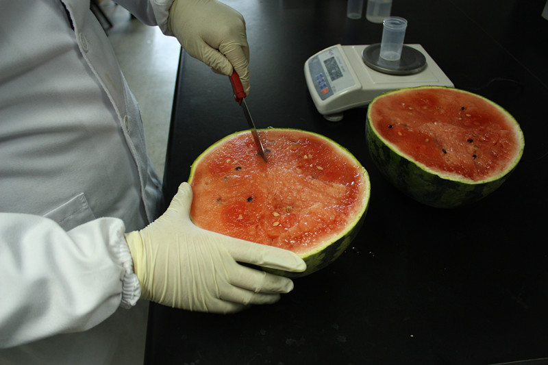 西瓜農(nóng)藥殘留檢測(cè) 西瓜農(nóng)藥殘留檢測(cè)